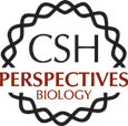 CSH Perspectives logo image