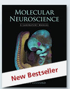 Molecular Neuroscience: A Laboratory Manual cover image