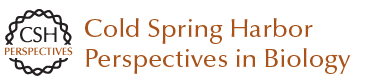 CSH Perspectives Banner
