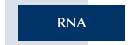 RNA Journal Homepage