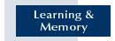 Learning & memory Homepage
