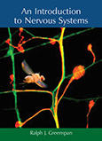 An Introduction to Nervous Systems cover art