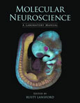 Molecular Neuroscience: A Laboratory Manual cover image