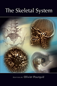 The Skeletal System cover art