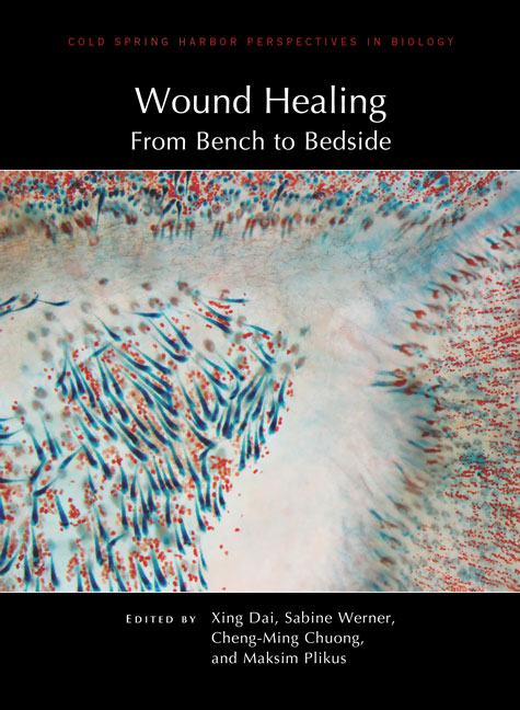 Wound Healing: From Bench to Bedside Cover Image