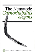 The Nematode Caenorhabditis elegans