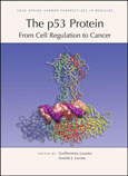 The p53 Protein: From Cell Regulation to Cancer